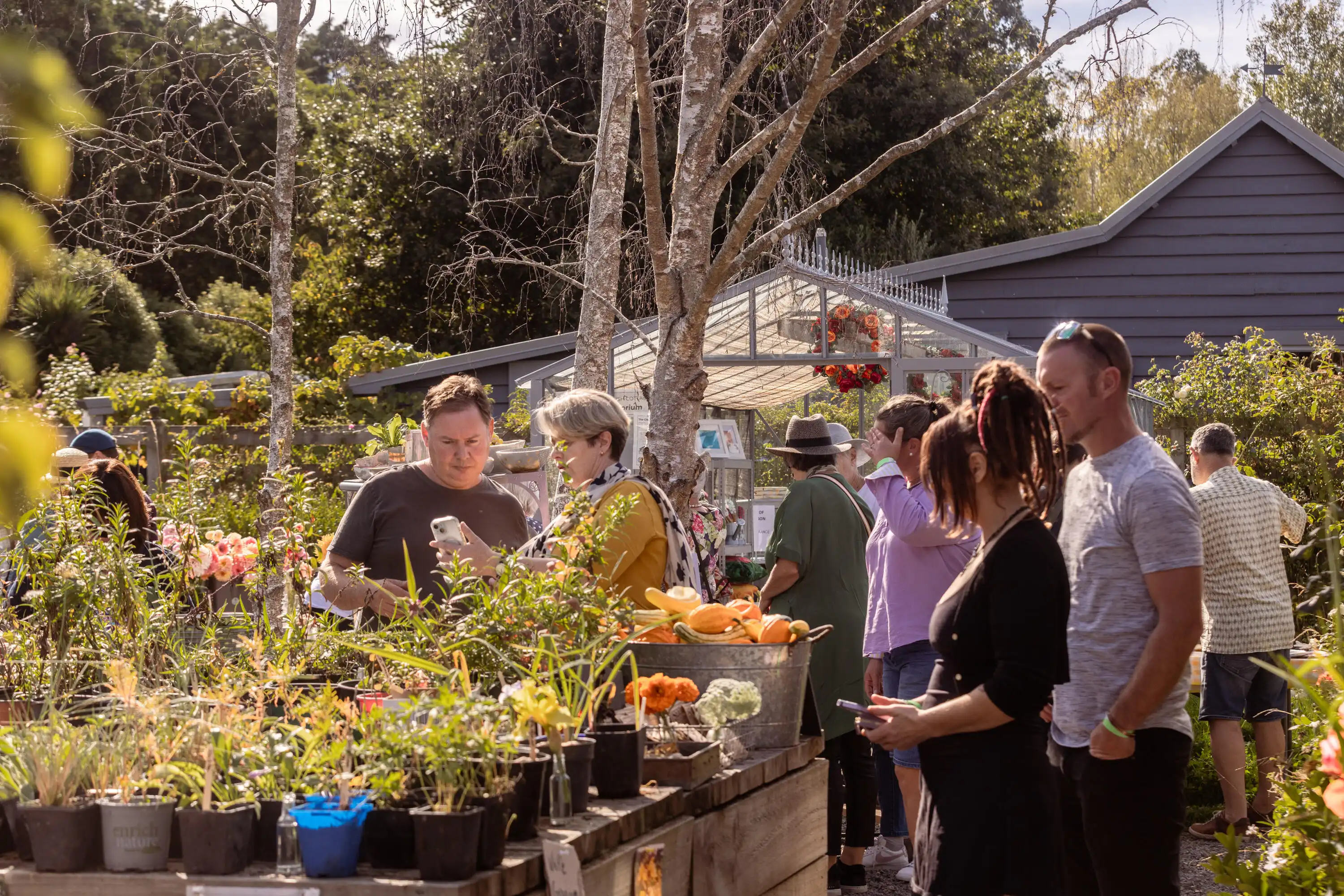 Longbush Cottage garden in full bloom with seasonal flowers and greenery