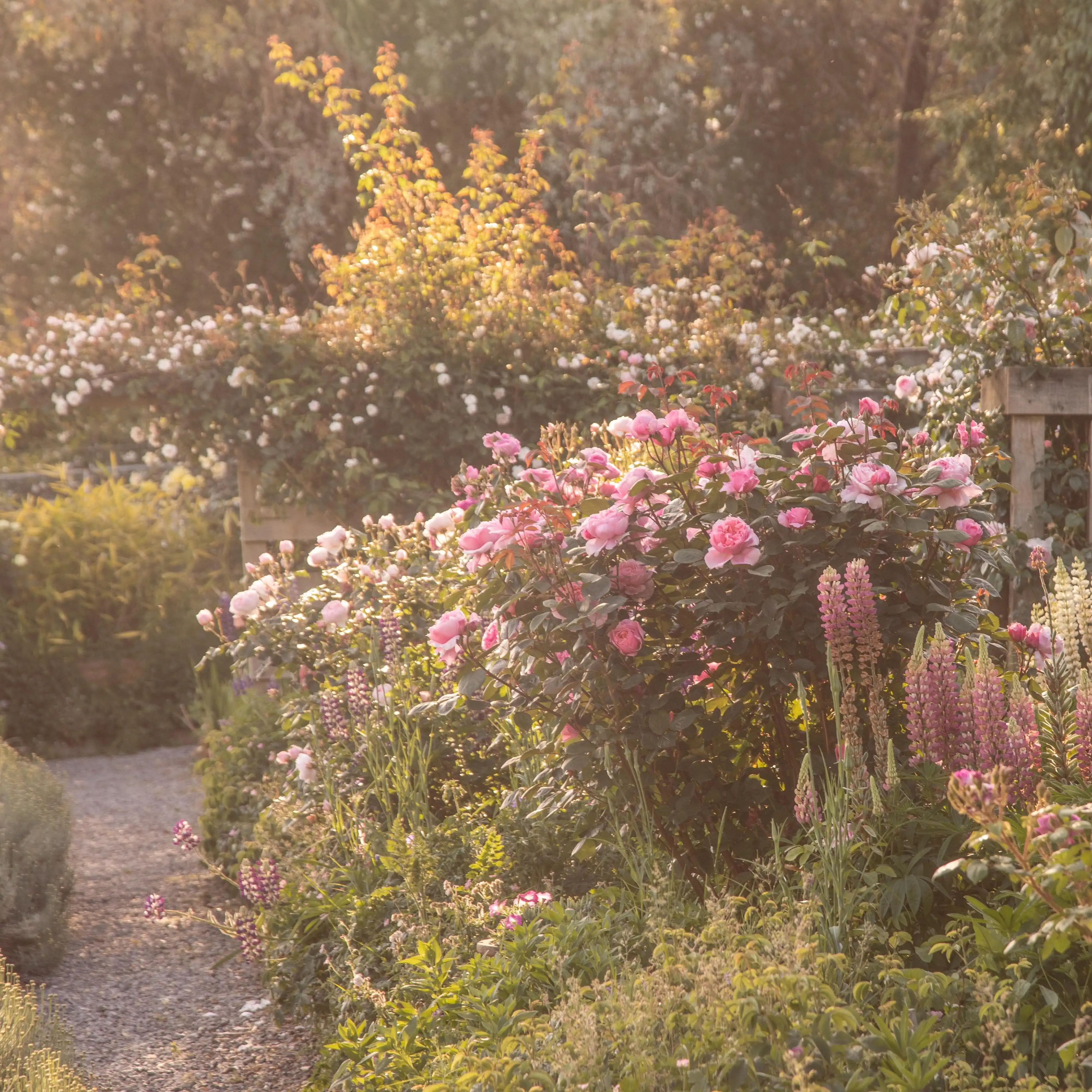 longbush cottage tour groups