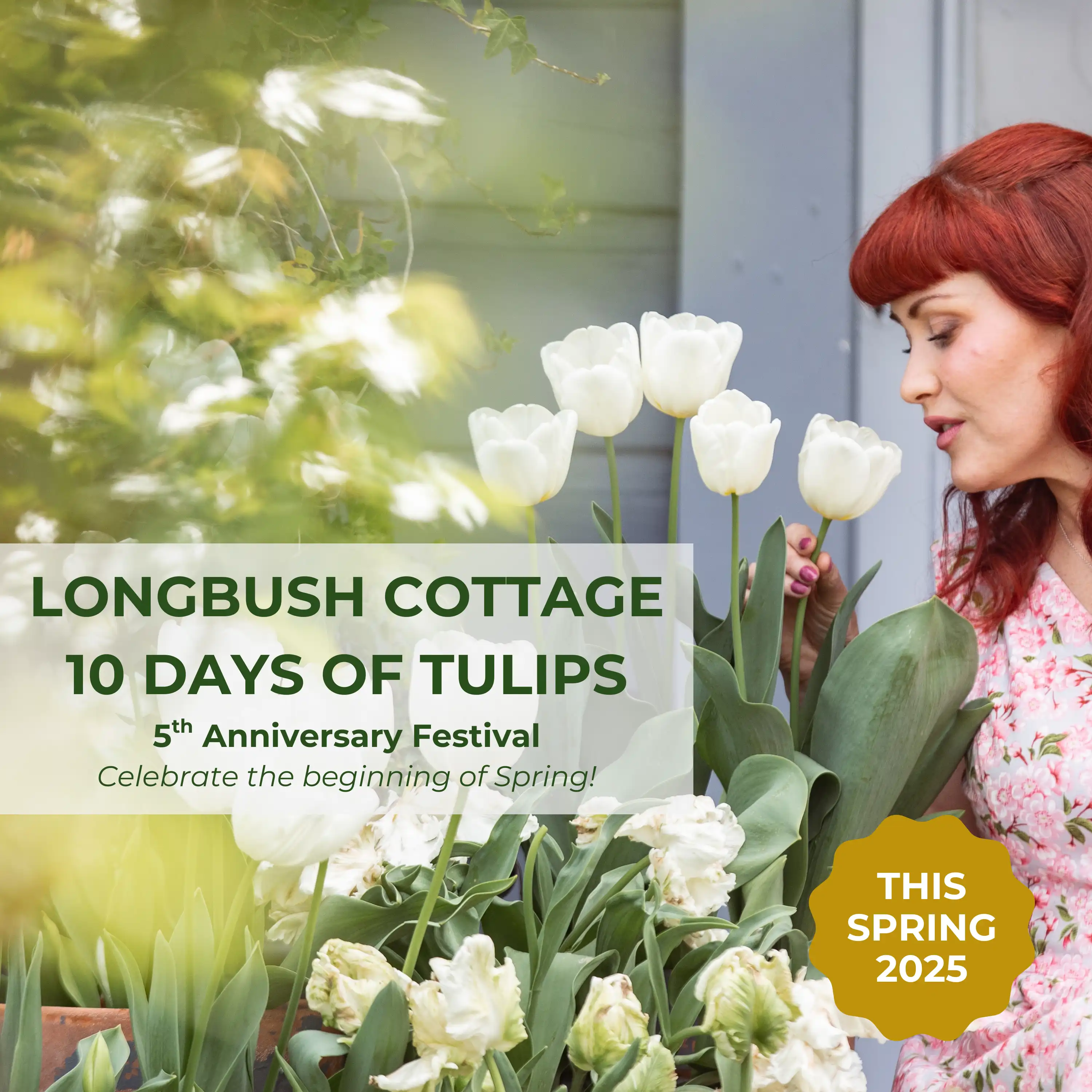 tulip festival 2025