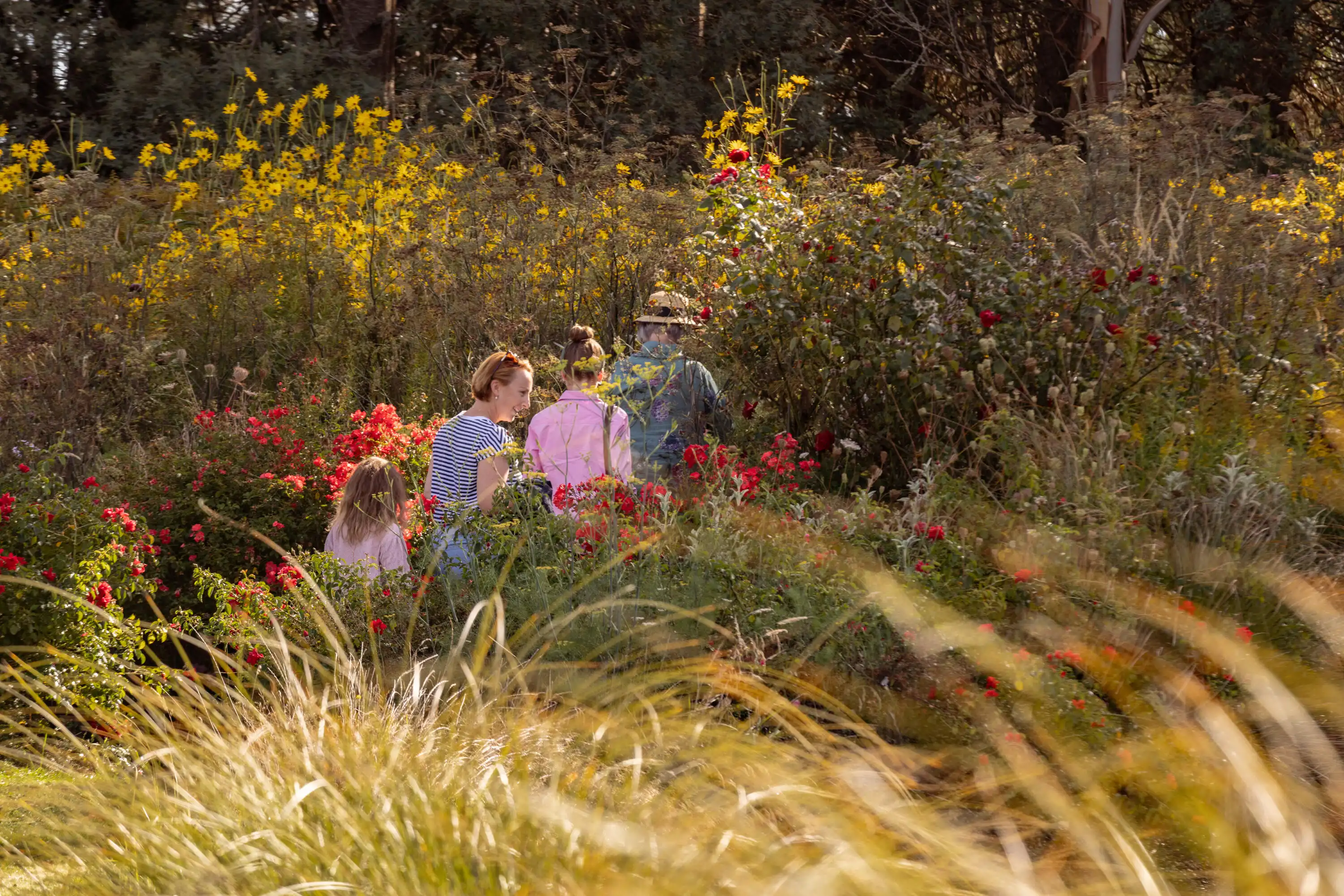 Visitors walking through garden rooms